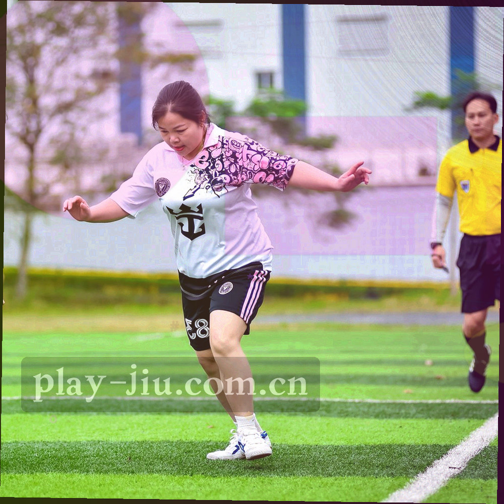 四步上手关系图：四个方框节点由折线顺序连接，从下载安装到开启离线缓存
